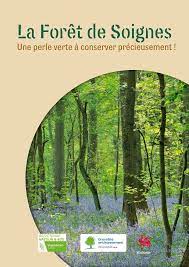 foret de soignes