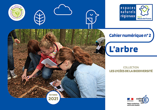 Cahier pédagogique arbre