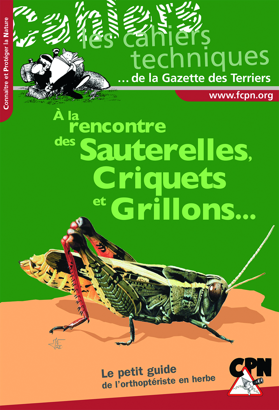 À la rencontre des sauterelles, criquets et grillons