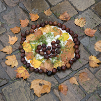 Dehors pour apprendre Symbioses 136 