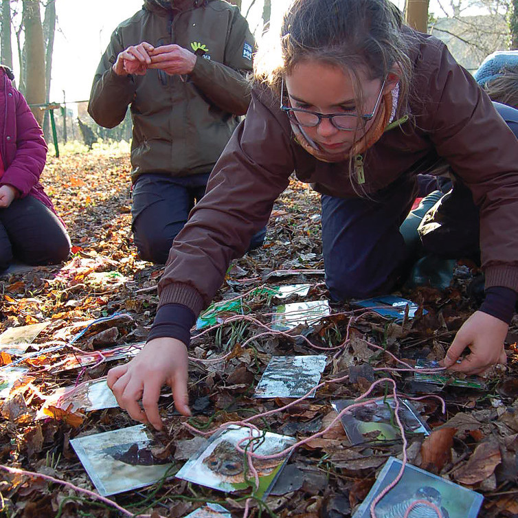 Symbioses 133 Biodiversité