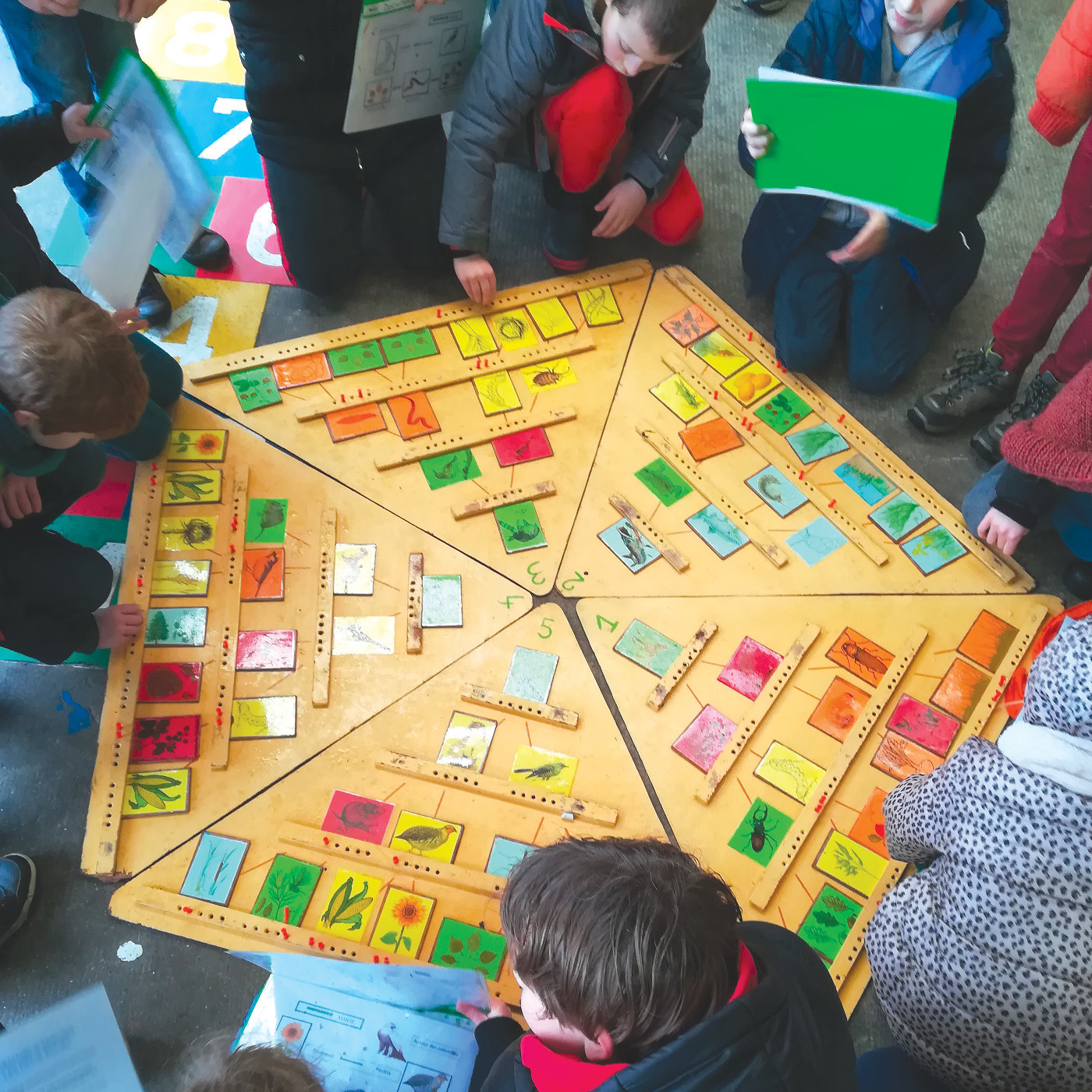 Symbioses 133 Biodiversité