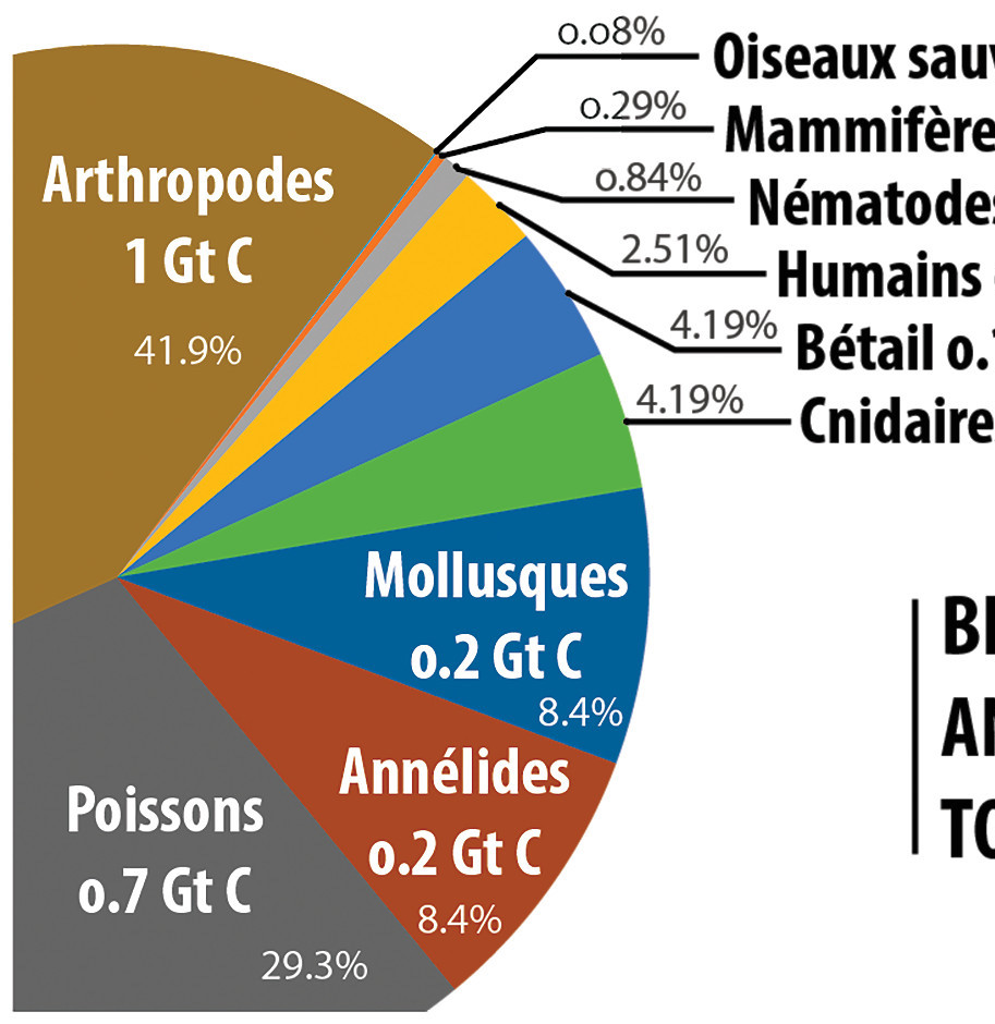 La biodiversité en chiffres