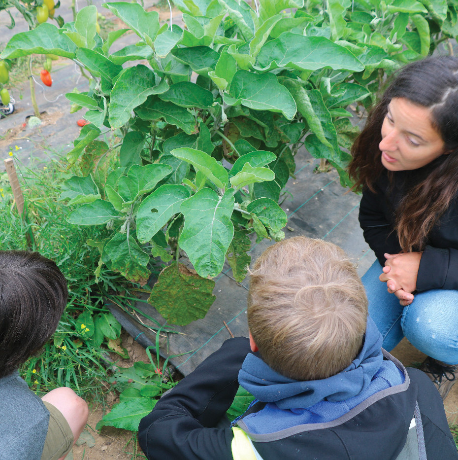 Symbioses 133 Biodiversité