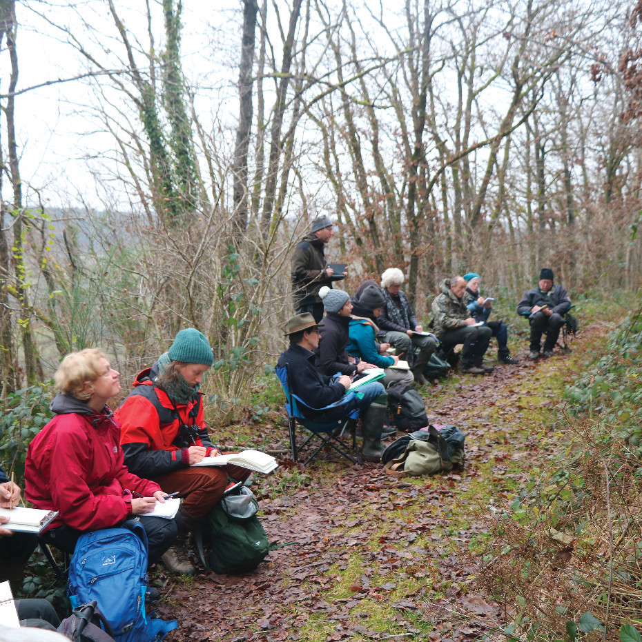 Symbioses 133 Biodiversité