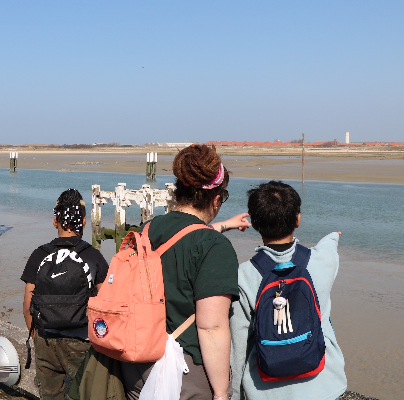 Symbioses 134 Mer du Nord