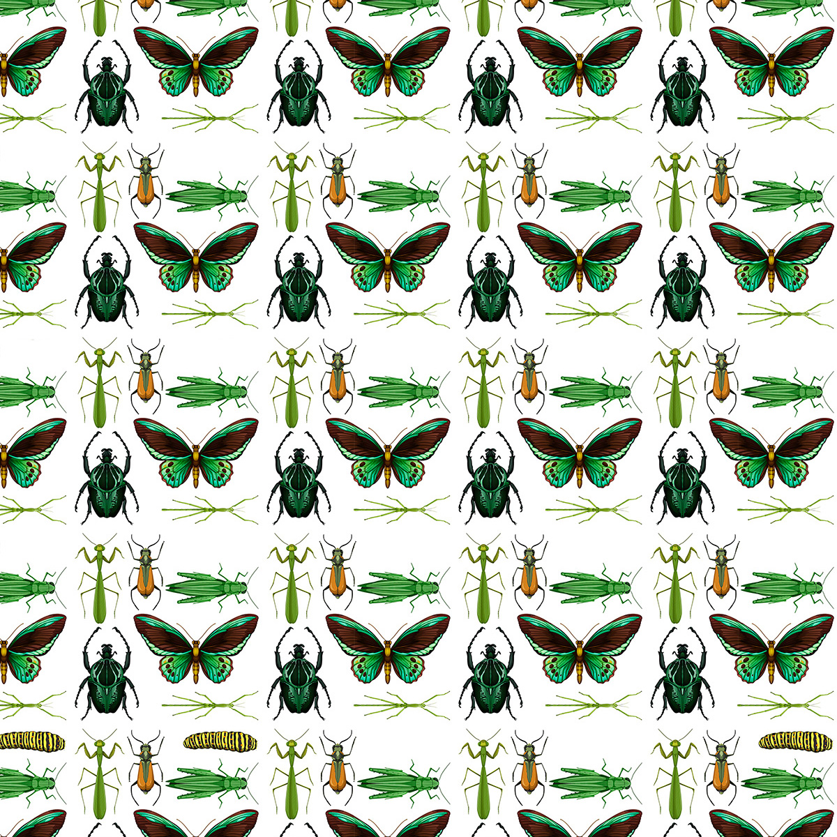 Symbioses 138 Insectes et autres petites bêtes