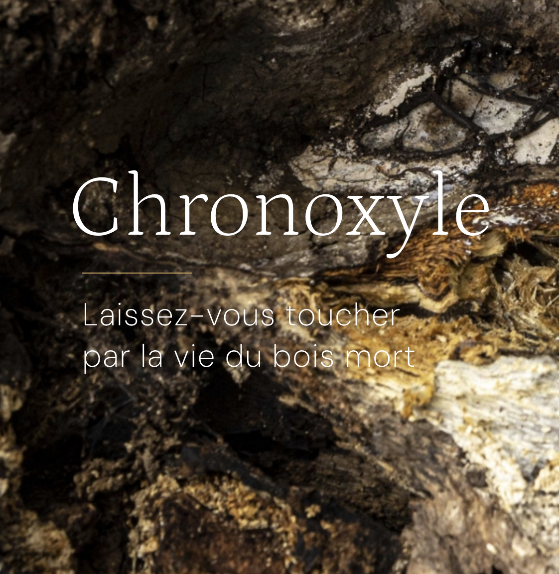 chronoxyle