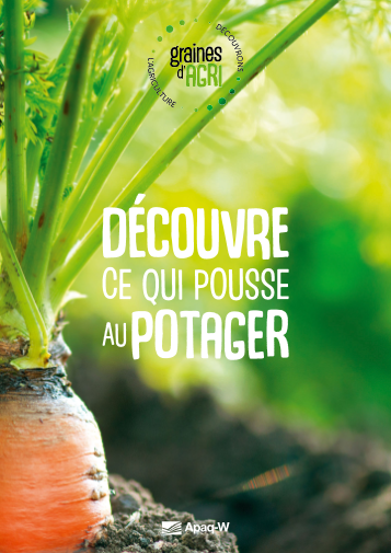 Découvre ce qui pousse au potager