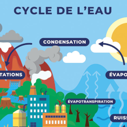 Symbioses 142 - Gérer l’eau autrement : un projet de société