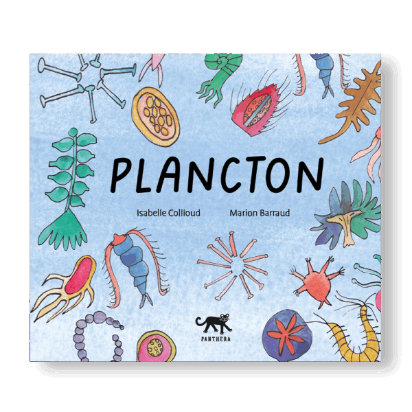plancton