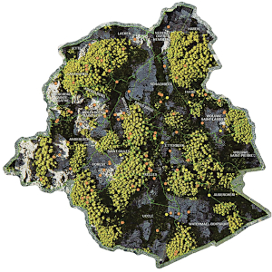 ©Atelier cartographique WoodWideWeb