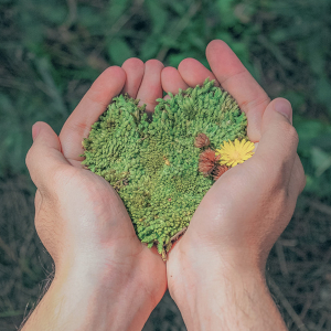 Symbioses 120 - Quelle place pour les émotions ?