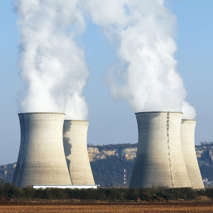 Symbioses 137 centrale