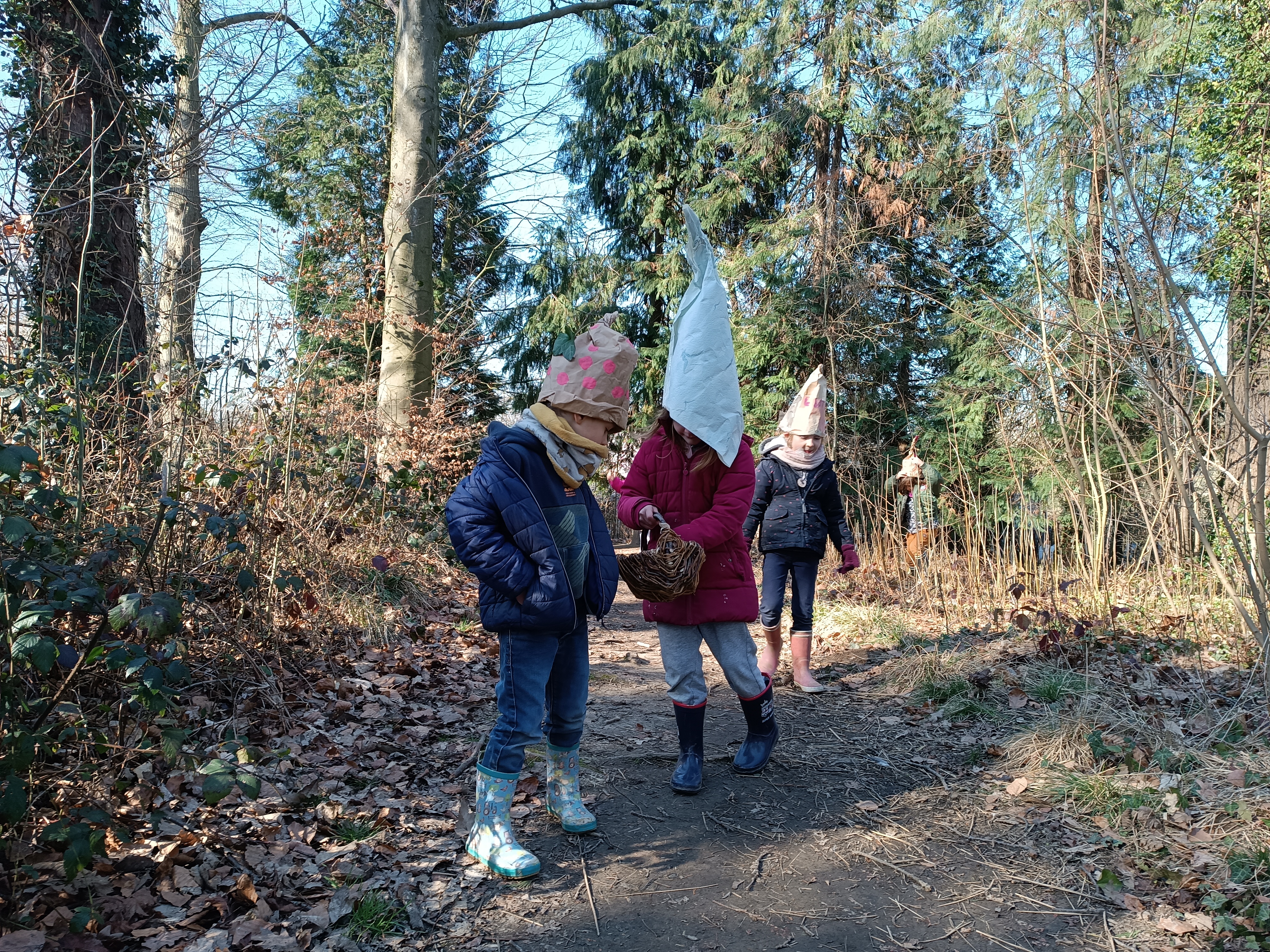 découverte ludique des arbres en hiver