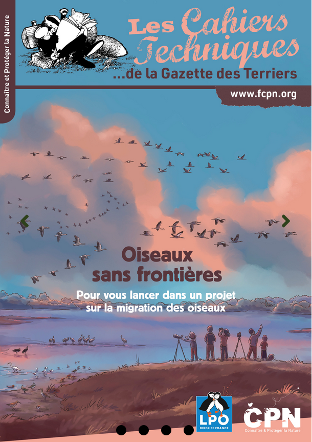Oiseaux sans frontières
