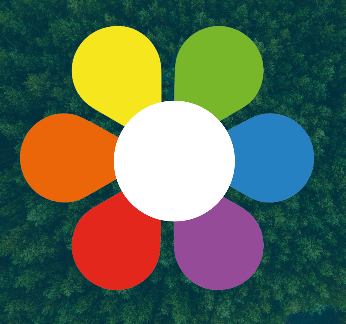 Cœur « systémique »