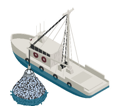 Symbioses 133 Biodiversité