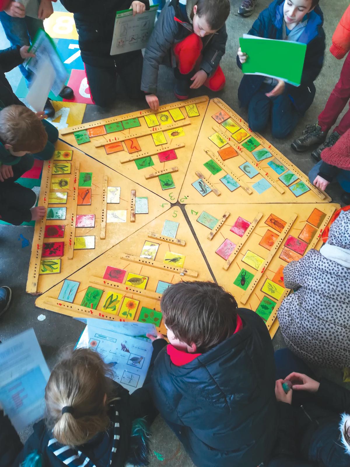 Symbioses 133 Biodiversité