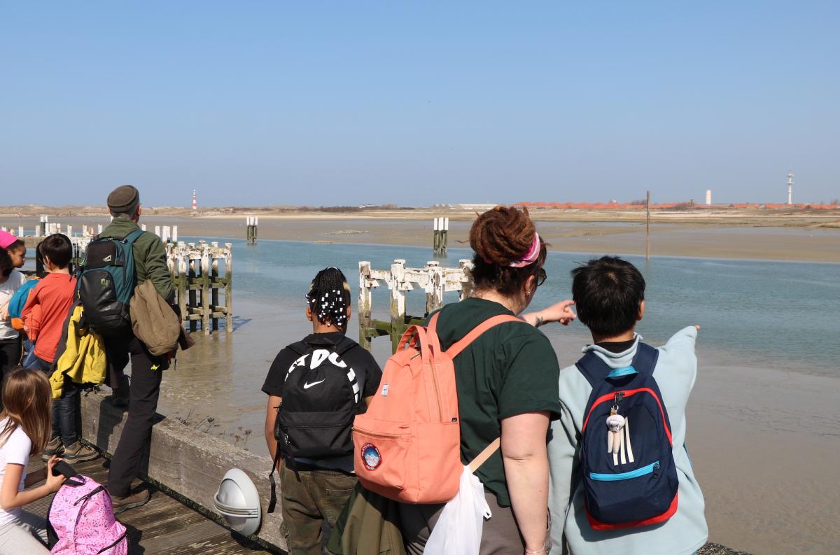 Symbioses 134 Mer du Nord