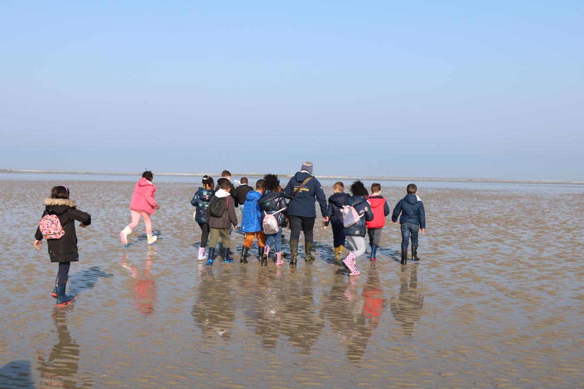 Symbioses 134 Mer du Nord