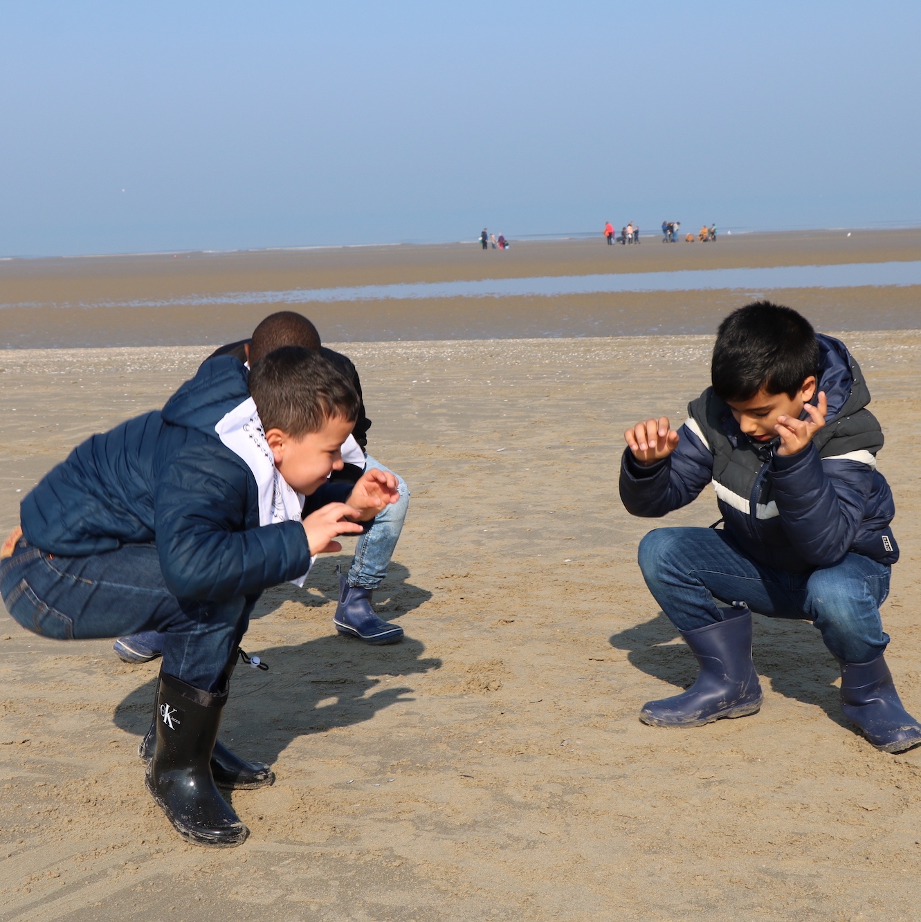 Symbioses 134 Mer du Nord