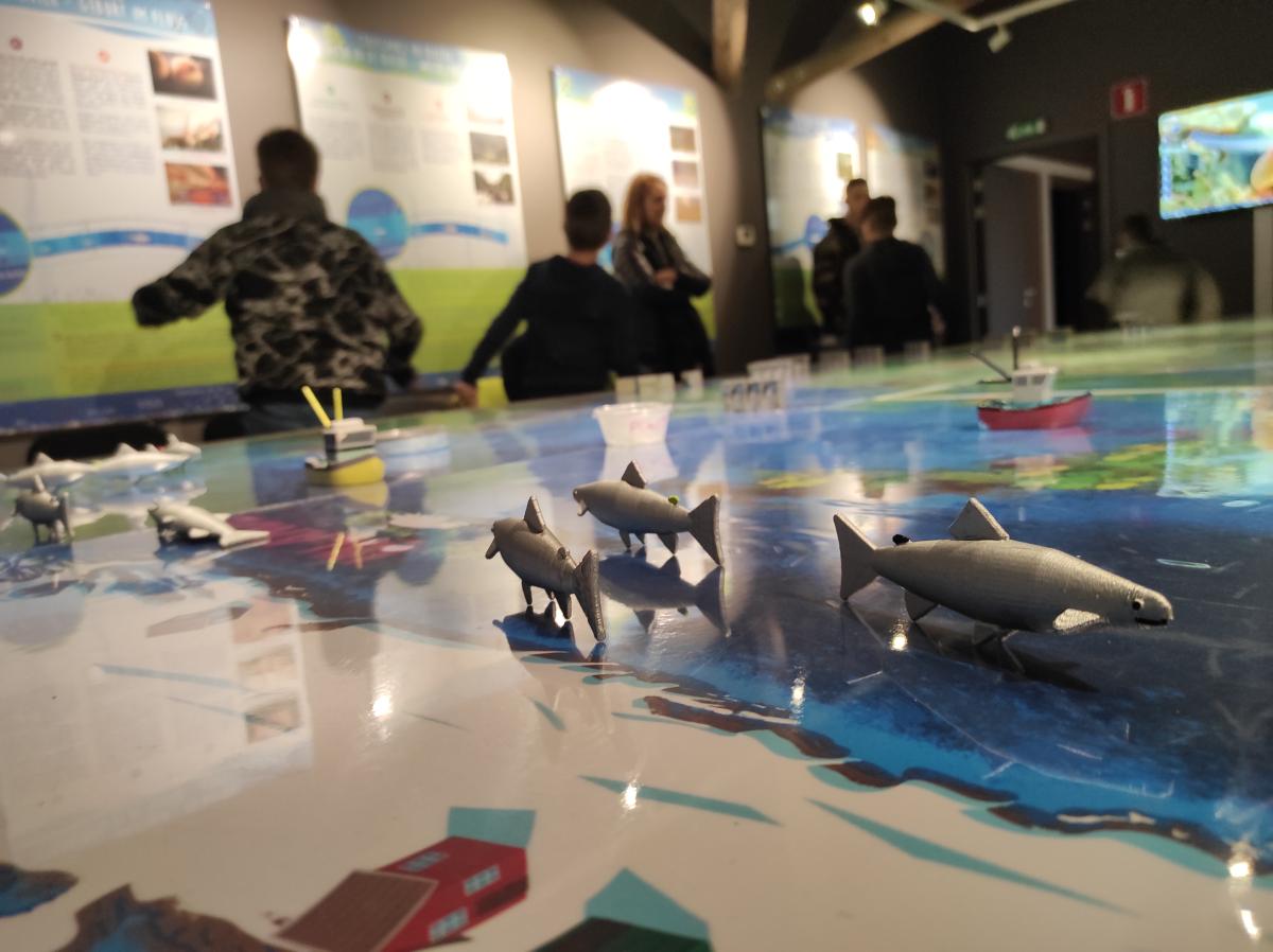 Symbioses 134 Mer du Nord