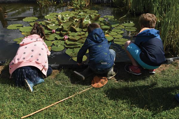 Photo : Dimitri Crickillon