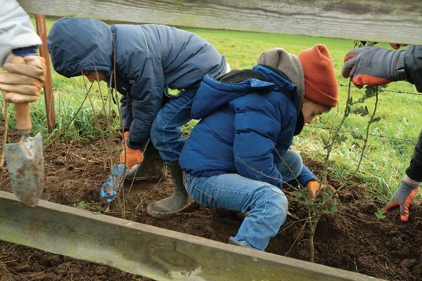 Photo : Dimitri Crickillon