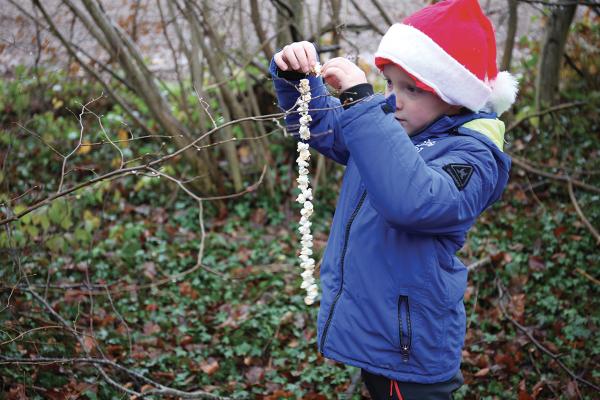 Photo :  Mahé Bougard