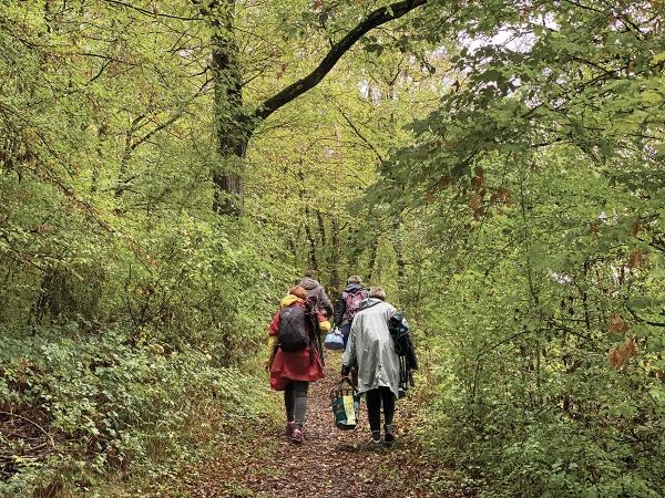 Dehors pour apprendre Symbioses 136