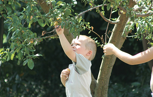 Symbioses 136 Dehors pour apprendre