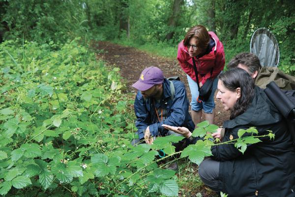 Symbioses 138 Insectes et autres petites bêtes