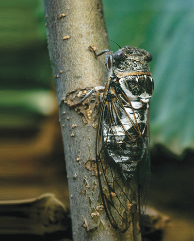 ©Fatih-KÖRKÜ-Pexels