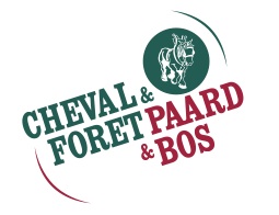 cheval-et-foret