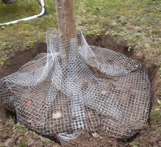 arbresfruitiers©lesdecouvertesdecomblain