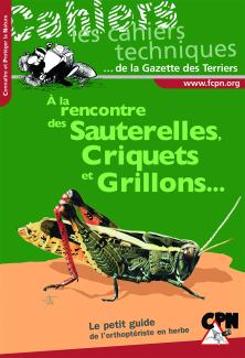 À la rencontre des sauterelles, criquets et grillons