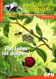 Pas folles, les guêpes !