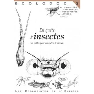 En quête d'insectes