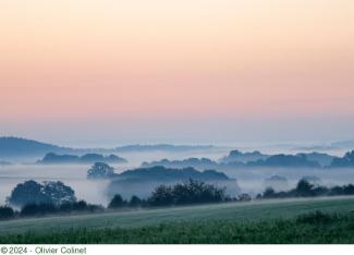 ©800@OlivierColinet