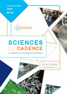 Où est passée l’eau de la cour ?