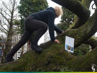 ©education environnement