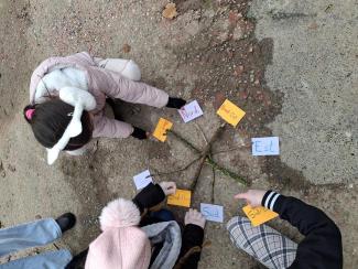 Découverte de la rose des vents