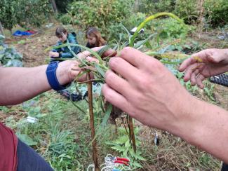 initiation à la permaculture