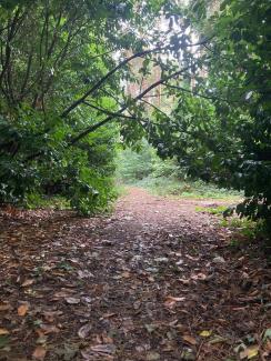 Après-midi hivernale en lisière de forêt de Soignes