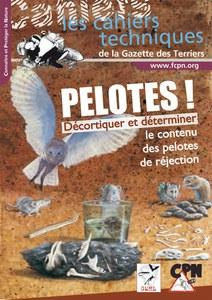 pelote