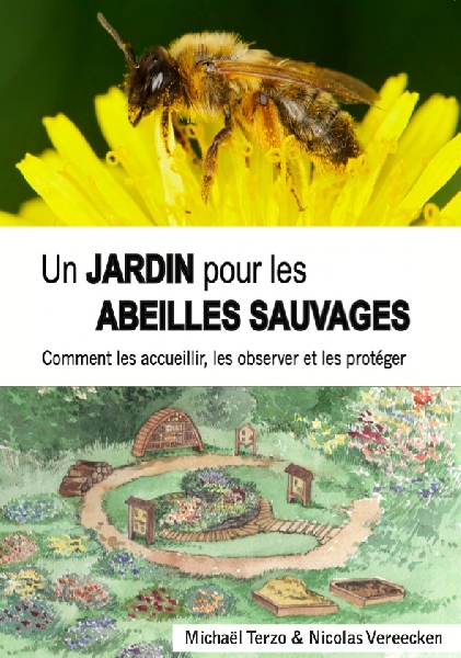 Un jardin pour les abeilles sauvages