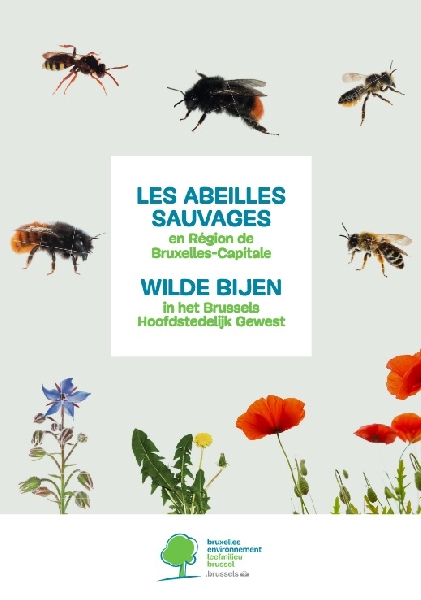 abeilles